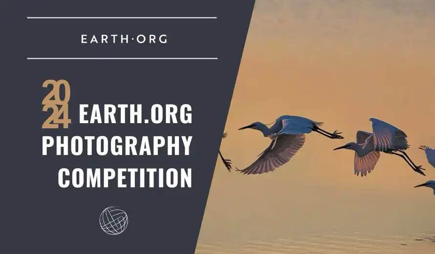 EO Climate Crisis Photography Competition 2024