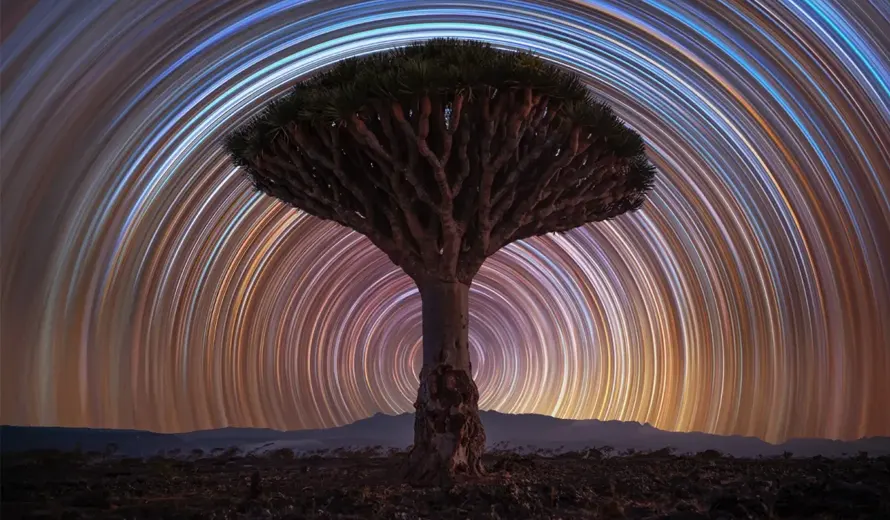 Astronomy Photographer Of The Year 2026