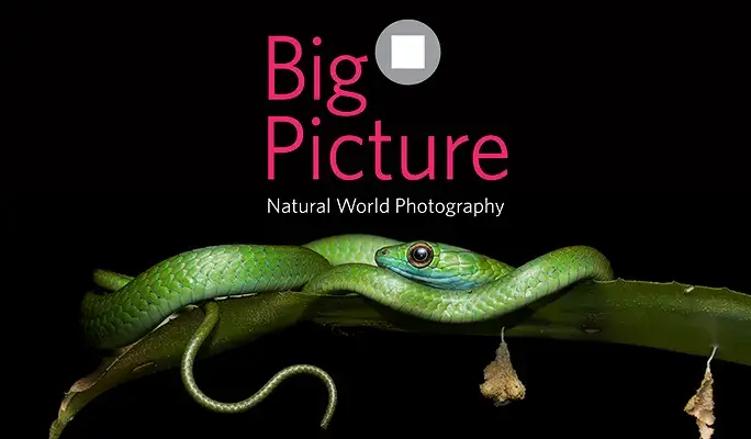 BigPicture Natural World Photography Competition 2022
