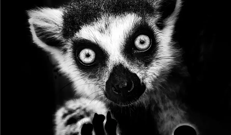 Black and White Photo Awards 2026