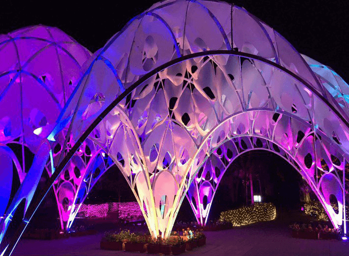 Coral Heart Installation Art by Sammy Liu - Golden Eagle