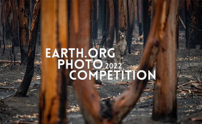 Earth.Org Photography Competition 2022