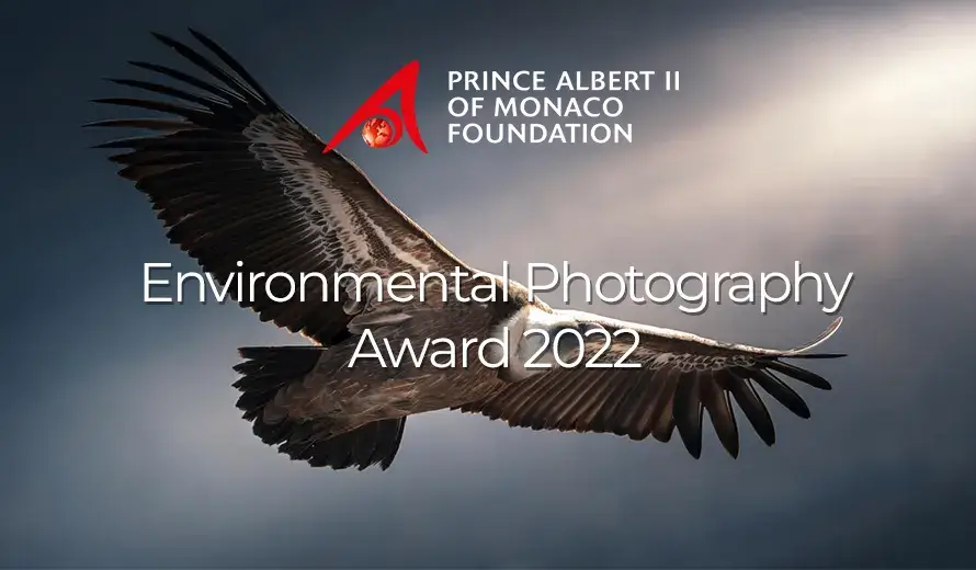 Environmental Photography Award 2022
