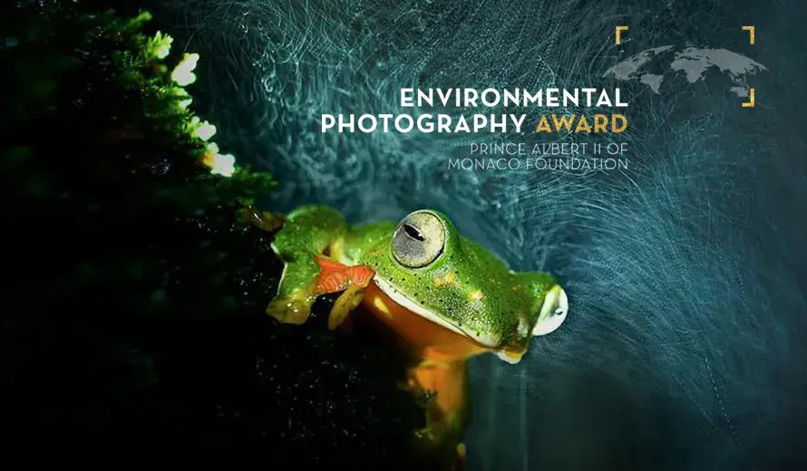 Environmental Photography Award 2024