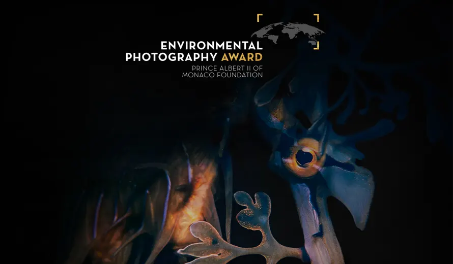 Environmental Photography Award 2026
