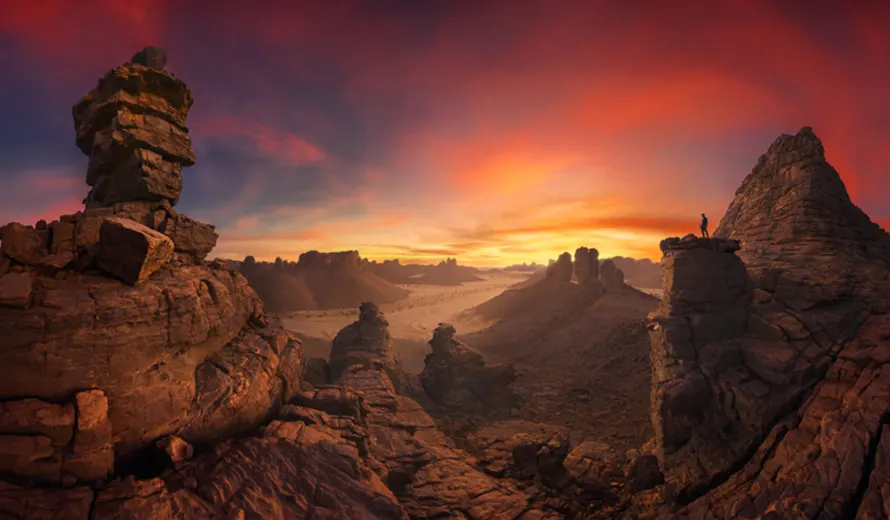 Epson International Pano Awards 2026