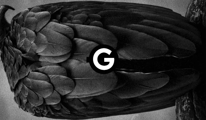 Gomma Photography Grant 2020