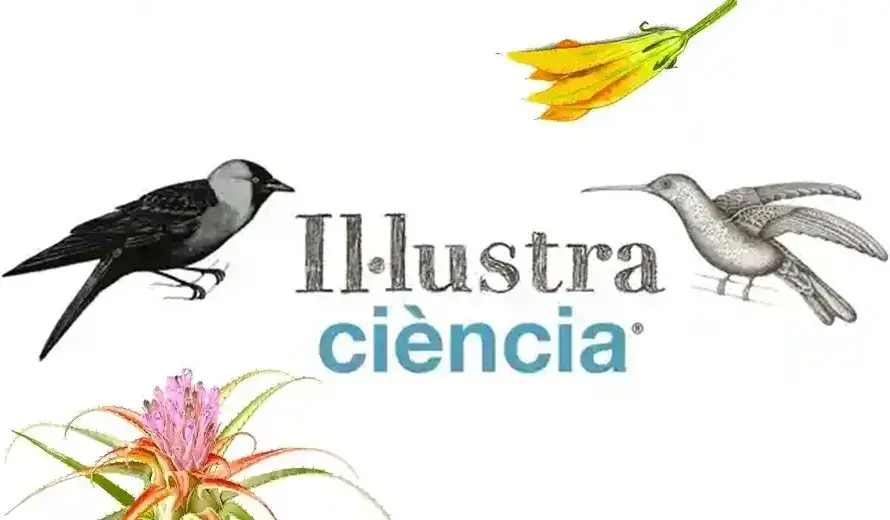 Illustraciència 2023 International Illustration Award