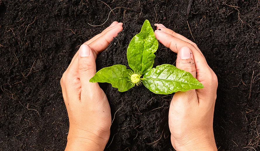 International Compost Awareness Week 2026 Poster Contest