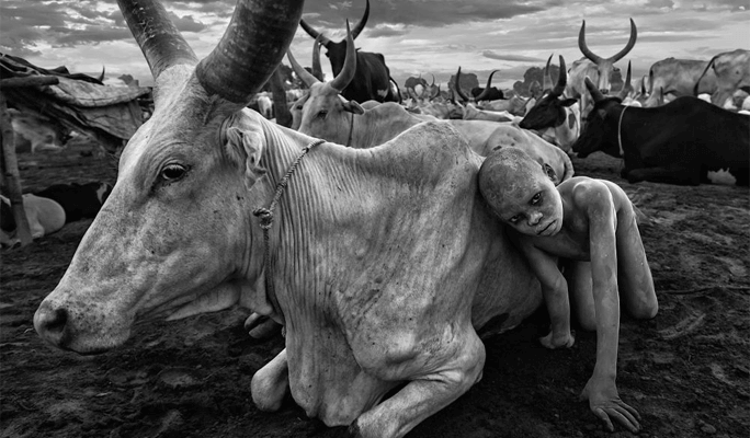 LensCulture Critics’ Choice 2020 Photography Competition