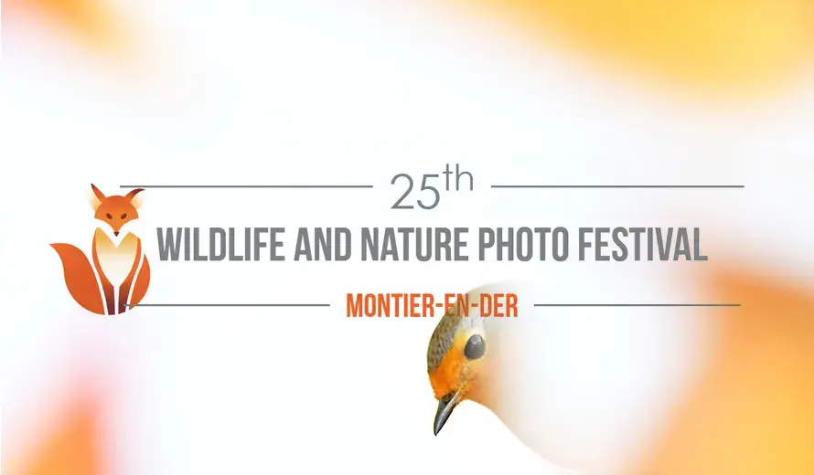 Montier Wildlife Photo Competition 2022
