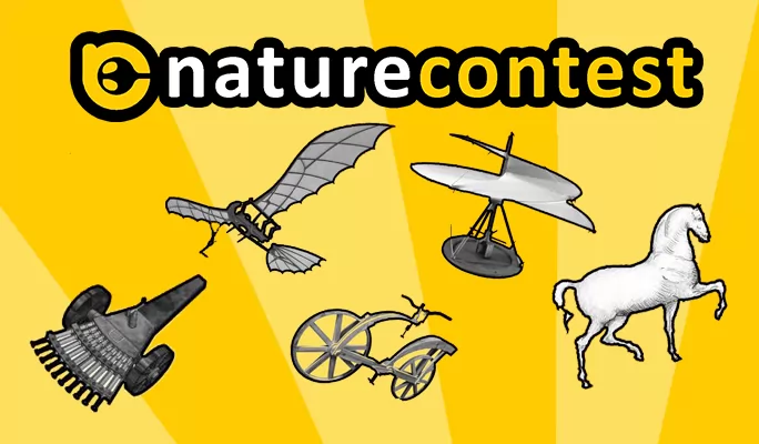 Nature Contest 2020
