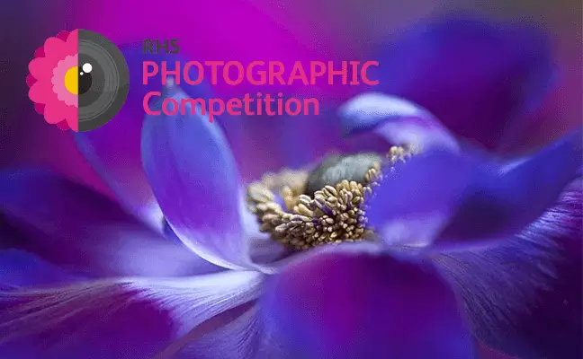 RHS Photographic Competition 2022