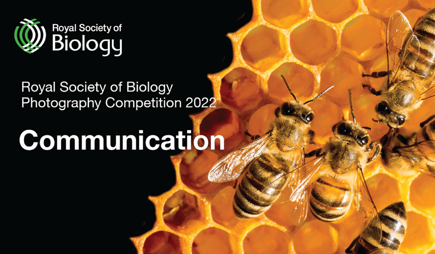 Royal Society Of Biology Photography Competition 2022