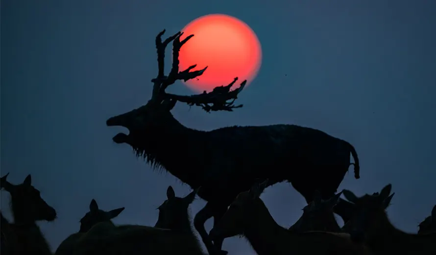 Sony World Photography Awards 2027