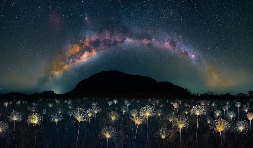 The Nature Photography Contest 2026