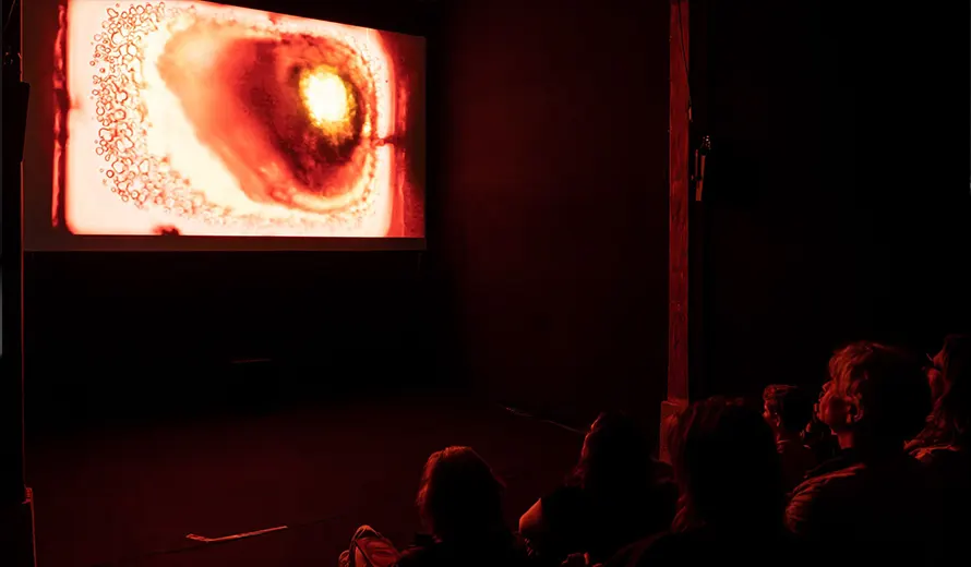 Videoex 2026 Experimental Film & Video Festival