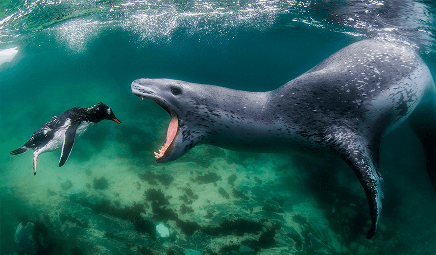 World Nature Photography Awards (WNPA) 2023