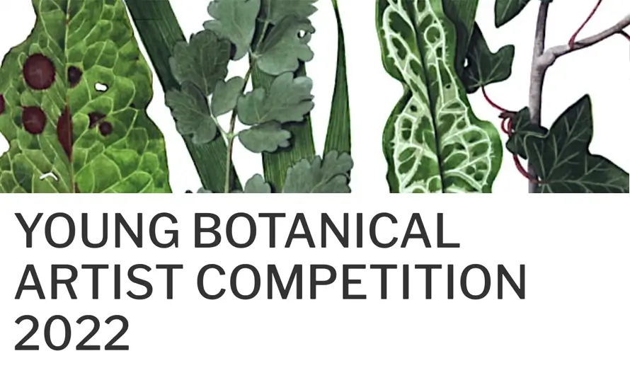 Young Botanical Artist Competition 2022