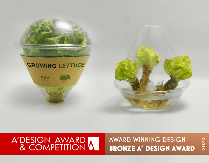 Eco Lettuce Package Multifunctional Food Packaging by Ning Sun, Xu Sun, Binjian Liu and Ying Jiang