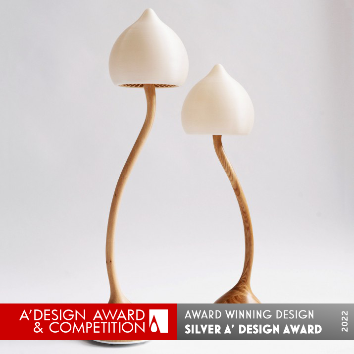 Magic Lamp by Daragh Enright